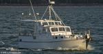 ID 14601 RIKO RIKO - a fishing charter launch operated by Riko Boat Charters out of Baywater Marina, Auckland.